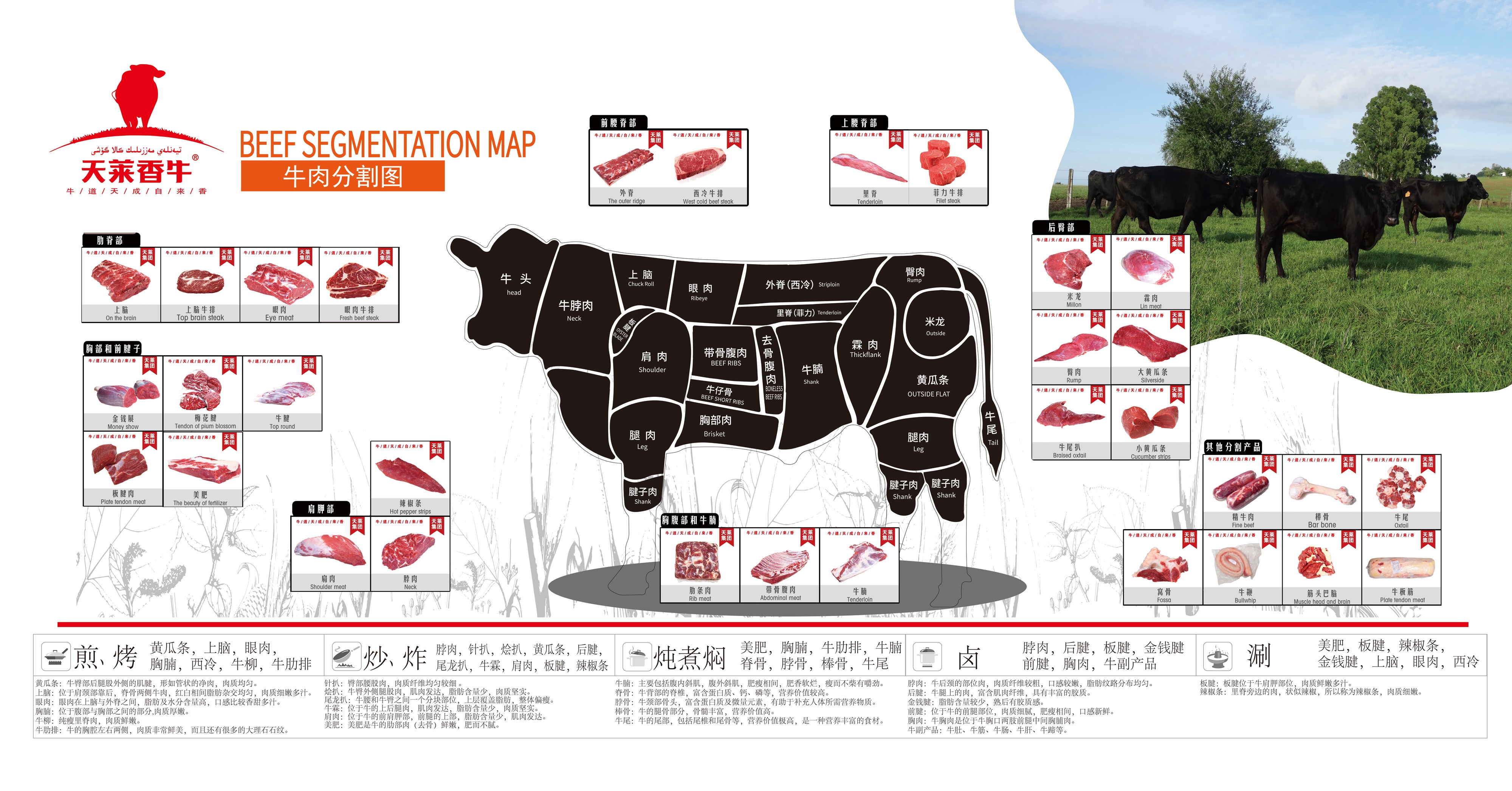 69258db7aa2ee.jpg 牛肉分布图--90-172m-01(1).jpg